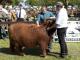 thumbnail 652 --9082.jpg